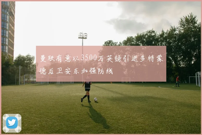 曼联有意以3500万英镑引进多特蒙德后卫安东加强防线