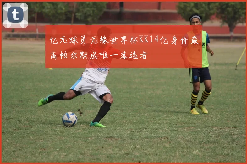 亿元球员无缘世界杯KK14亿身价最高帕尔默成唯一落选者